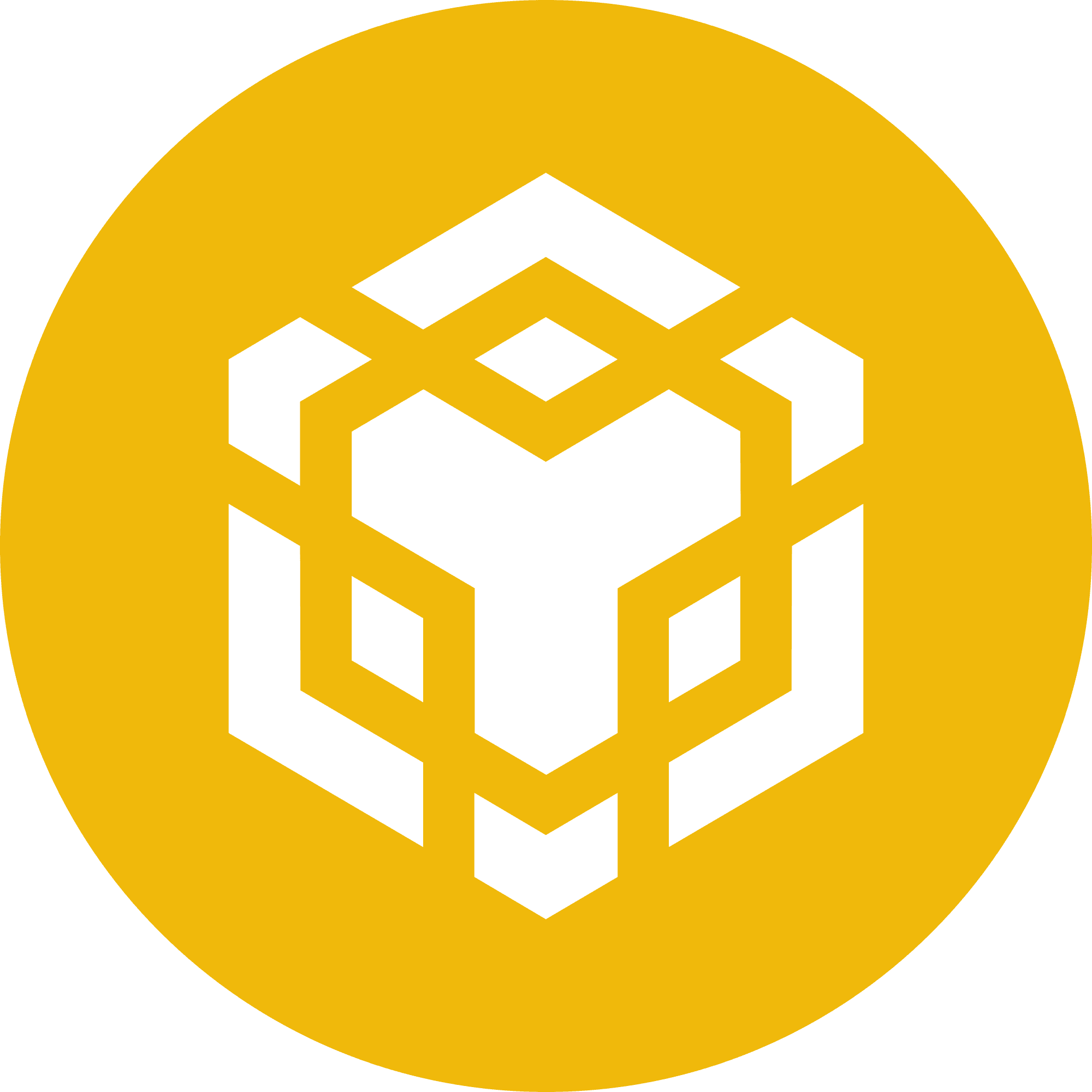 BNB Coin